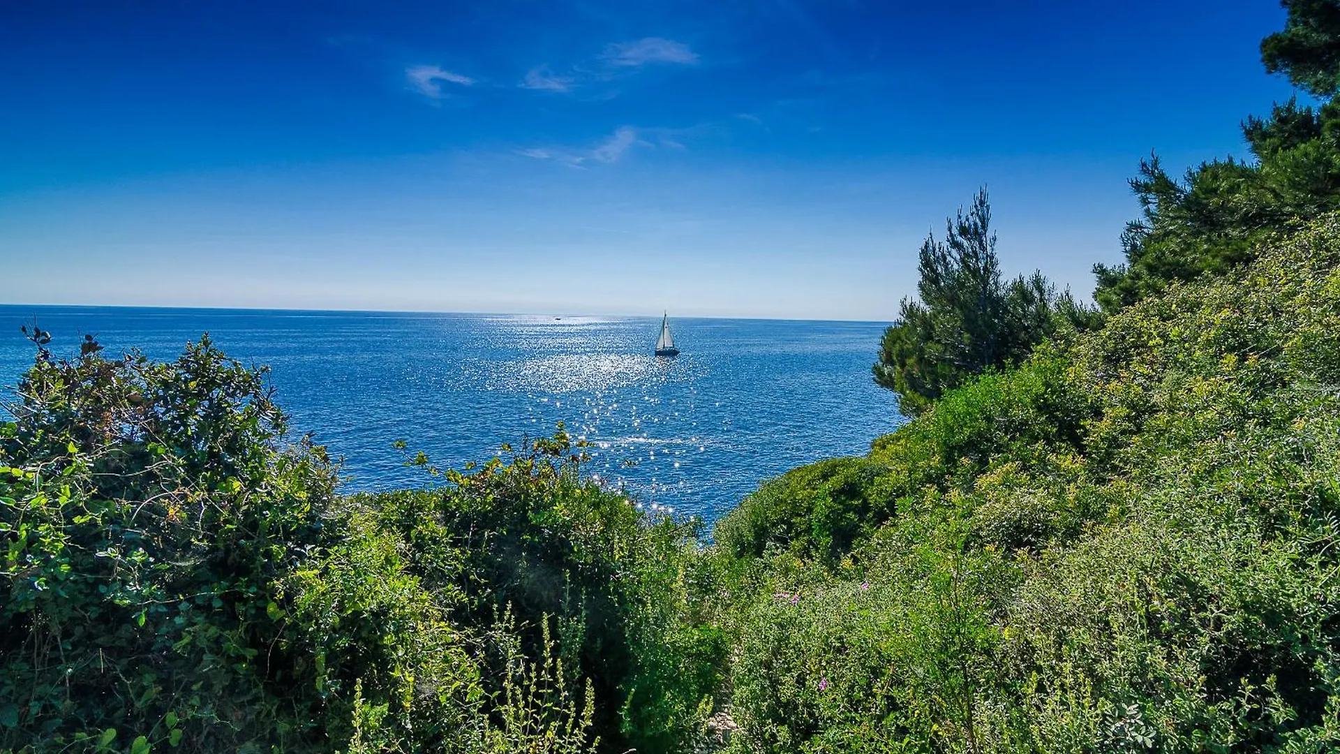 Apartment Apartman Ana-Maria Pula